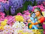 Baby Krishna Wallpaper